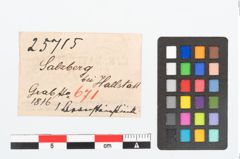 Etikett zu Bernsteinperle (NHMW-PRAE-025715)
